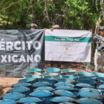 Centros narcolaboratorios