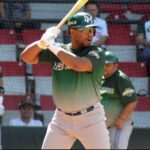 Cañeros en la Liga Mexicana del Pacifico