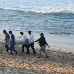 Cuerpo flotando en la playa de Mazatlán