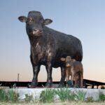 Expoferia Ganadera de Culiacán