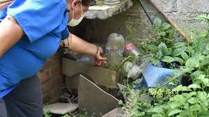 Acciones para prevenir el dengue